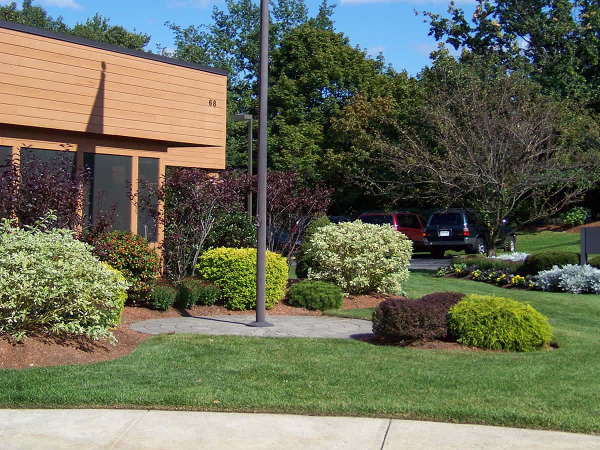 High Quality Commercial Landscaping Services