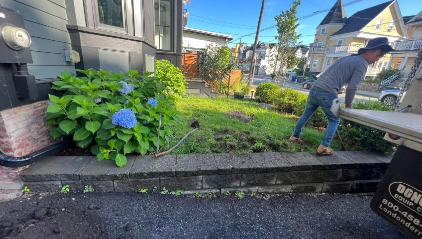 The Perfect Garden Fence: Protecting Your Plants from Pests and Wildlife fence for garden