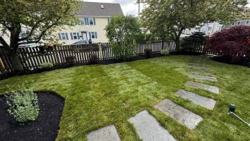 Fence Landscaping: Harmonizing Nature with Man-Made Boundaries