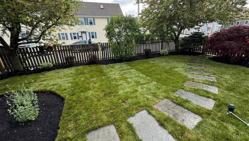 Fence Landscaping: Harmonizing Nature with Man-Made Boundaries